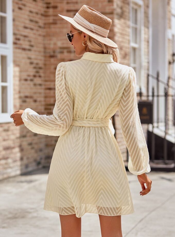 Scopp Blazer Dress with belt