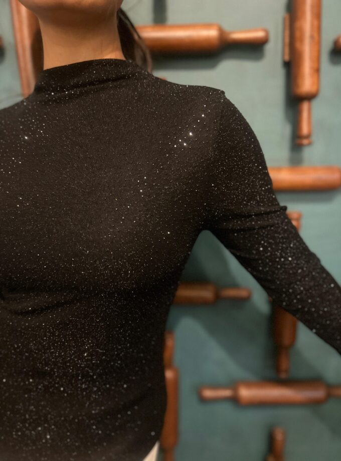 Shimmer turtle neck Top