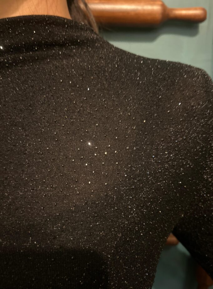 Shimmer turtle neck Top