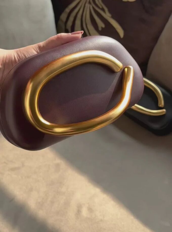 Gold Clasp Box Bag With Sling